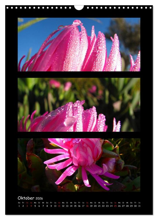 Produktbild: ZAUBERWELT DER BLUMEN - EISKRISTALLE & WASSERPERLEN (Wandkalender 2026 DIN A3 hoch), CALVENDO Monatskalender