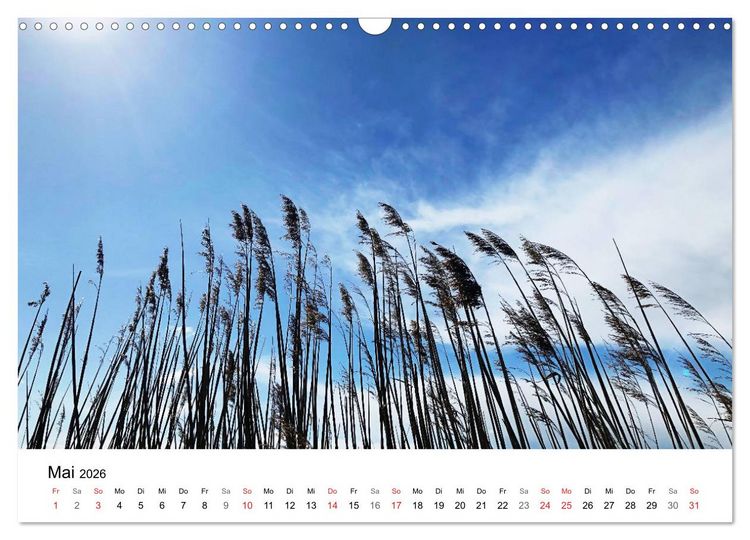 Produktbild: Borkum - Wo die Zeit still steht. (Wandkalender 2026 DIN A3 quer), CALVENDO Monatskalender