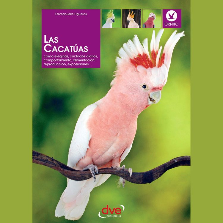 Produktbild: Las cacat&uacute;as: C&oacute;mo elegirlas, cuidados diarios, comportamiento, alimentaci&oacute;n, reproducci&oacute;n, exposiciones&hellip;