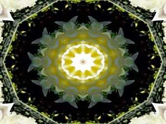 Produktbild: CALVENDO Puzzle Mandala - Meditation | 1000 Teile Lege-Gr&ouml;&szlig;e 64x48cm Foto-Puzzle f&uuml;r gl&uuml;ckliche Stunden