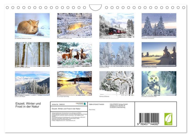 Produktbild: Eiszeit. Winter und Frost in der Natur (Wandkalender 2026 DIN A4 quer), CALVENDO Monatskalender