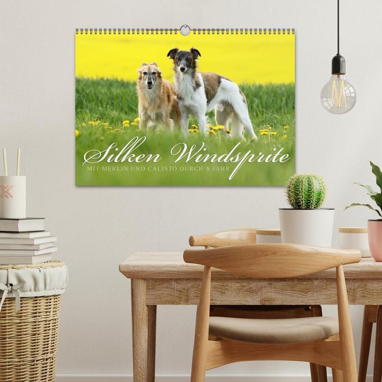Produktbild: Silken Windsprite - Mit Merlin und Calisto durch&acute;s Jahr 2026 (Wandkalender 2026 DIN A3 quer), CALVENDO Monatskalender