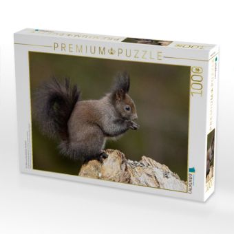 Produktbild: CALVENDO Puzzle Ein Motiv aus dem Kalender Oachkatzl | 1000 Teile Lege-Gr&ouml;&szlig;e 64x48cm Foto-Puzzle f&uuml;r gl&uuml;ckliche Stunden