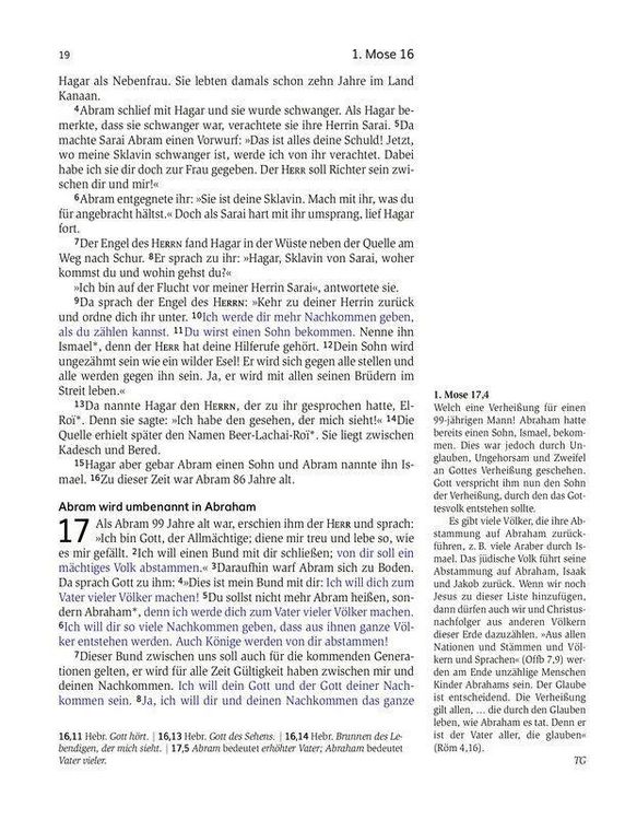 Produktbild: Das Buch der Versprechen