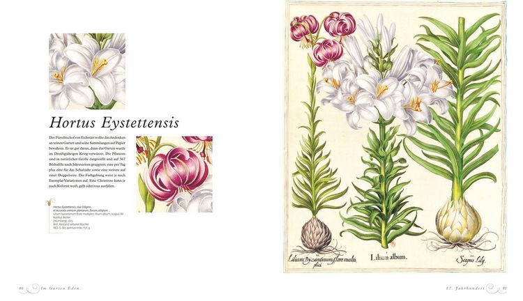 Produktbild: Im Garten Eden
