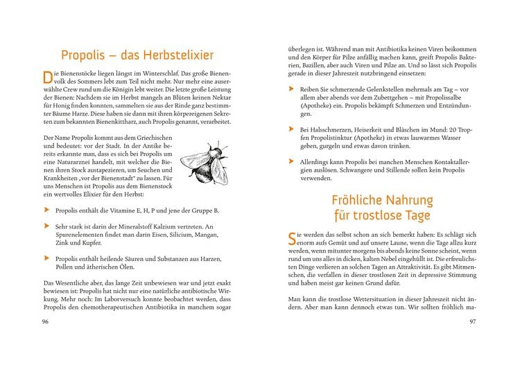 Produktbild: Fit durchs Jahr. Gesundheitstipps f&uuml;r alle Jahreszeiten. Gesund bleiben und wieder werden