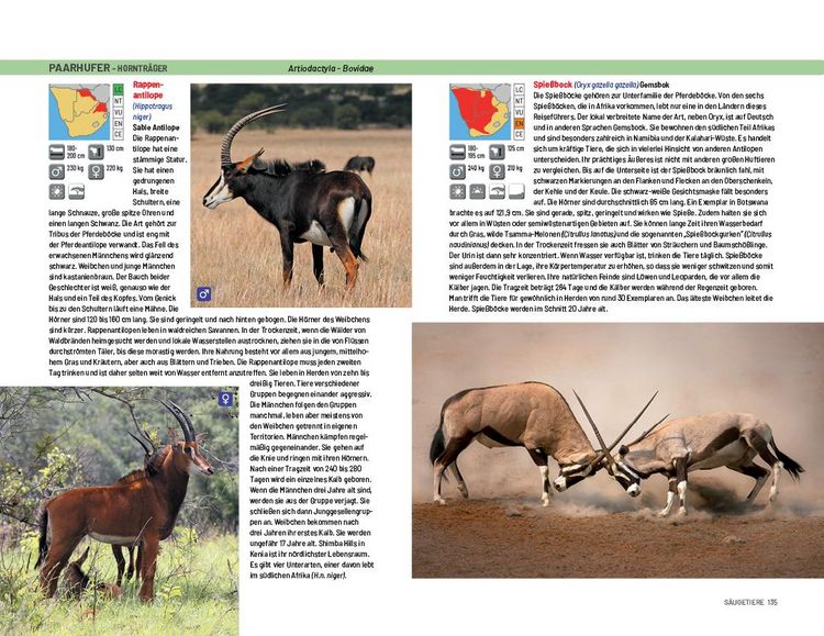 Produktbild: Safari-Reisef&uuml;hrer S&uuml;dliches Afrika