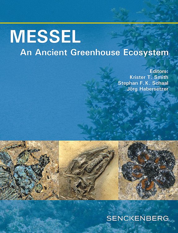Produktbild: MESSEL - An Ancient Greenhouse Ecosystem