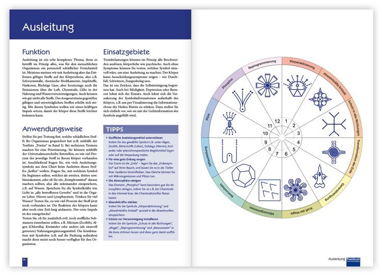 Produktbild: Praxisbuch Neue Hom&ouml;opathie. Band 2