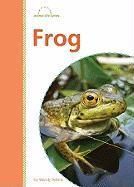Produktbild: Frog