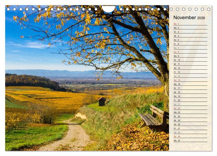Produktbild: Auf Schusters Rappen... S&uuml;dlicher Oberrhein und S&uuml;dschwarzwald (Wandkalender 2026 DIN A4 quer), CALVENDO Monatskalender