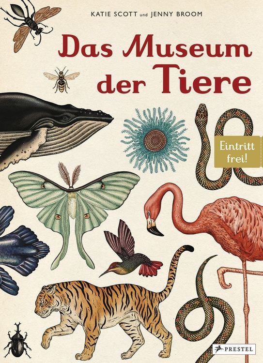Produktbild: Das Museum der Tiere