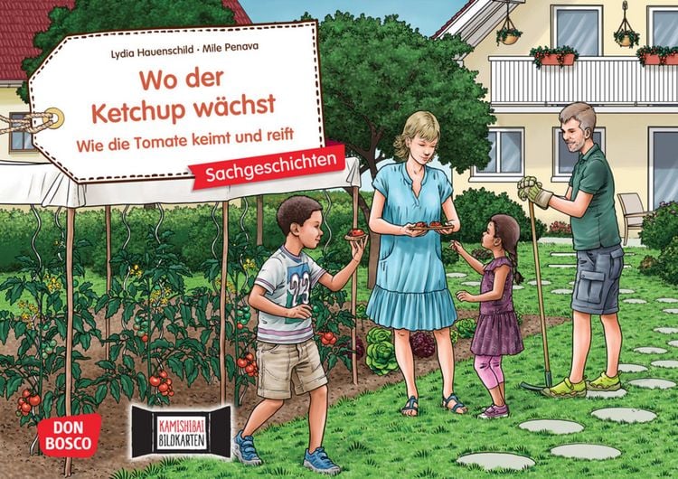 Produktbild: Wo der Ketchup w&auml;chst. Wie die Tomate keimt und reift. Kamishibai Bildkartenset