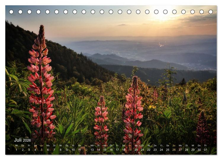 Produktbild: Faszination Schwarzwald (Tischkalender 2026 DIN A5 quer), CALVENDO Monatskalender