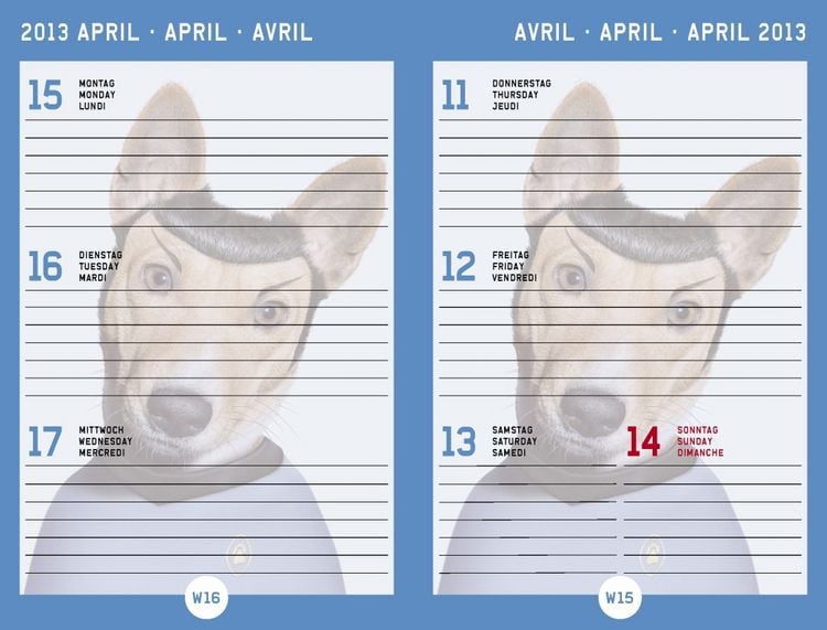 Produktbild: Pets Rock, Sch&uuml;lerkalender 2012/2013