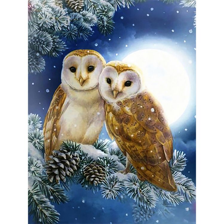 Produktbild: PRACHT Diamond Painting Eulen 50x40cm