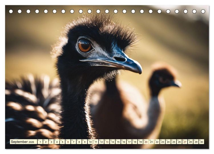 Produktbild: Australiens faszinierende Fauna (Tischkalender 2026 DIN A5 quer), CALVENDO Monatskalender