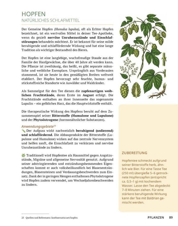 Produktbild: Die Tee-Apotheke