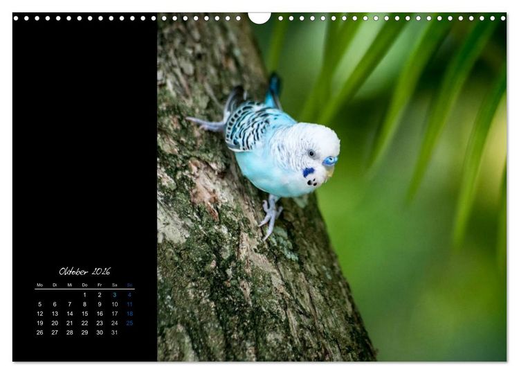 Produktbild: Malediven - dem Himmel so nah (Wandkalender 2026 DIN A3 quer), CALVENDO Monatskalender