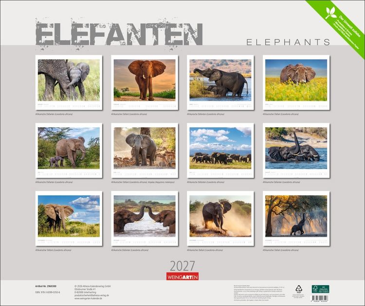 Produktbild: Elefanten Kalender 2027