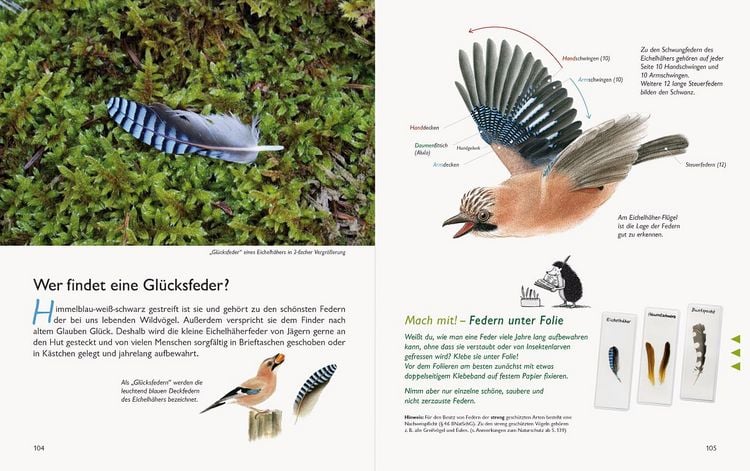 Produktbild: Wawra's Naturbuch &ndash; Unserer Natur auf der Spur, Bd. 1: S&auml;ugetiere, V&ouml;gel, Reptilien, Amphibien