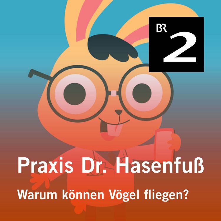 Produktbild: Praxis Dr. Hasenfu&szlig;: Warum k&ouml;nnen V&ouml;gel fliegen?