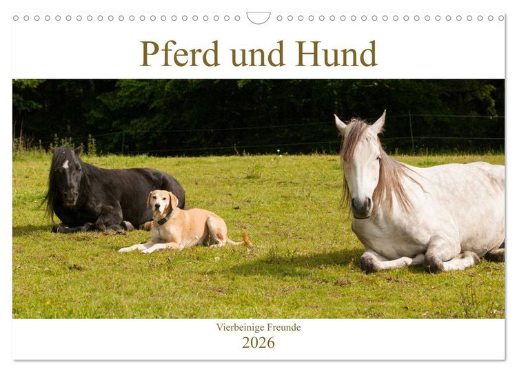 Produktbild: Pferd und Hund - Vierbeinige Freunde (Wandkalender 2026 DIN A3 quer), CALVENDO Monatskalender