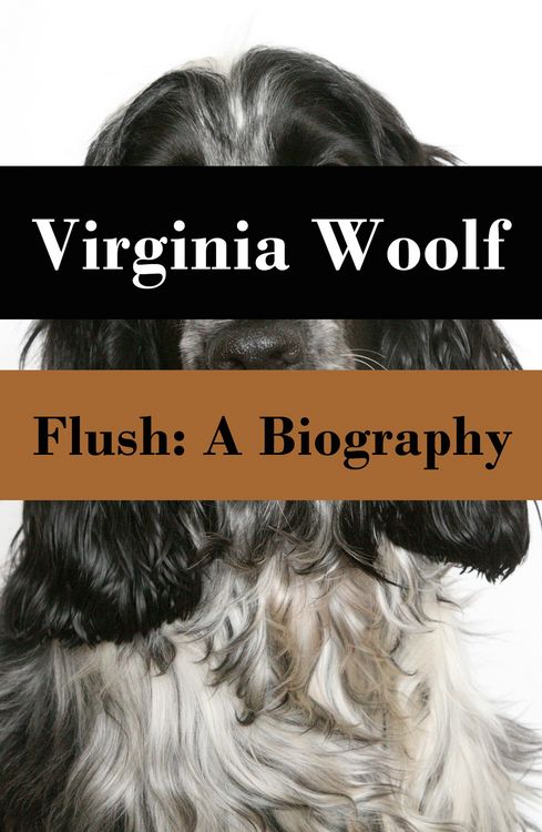 Produktbild: Flush: A Biography