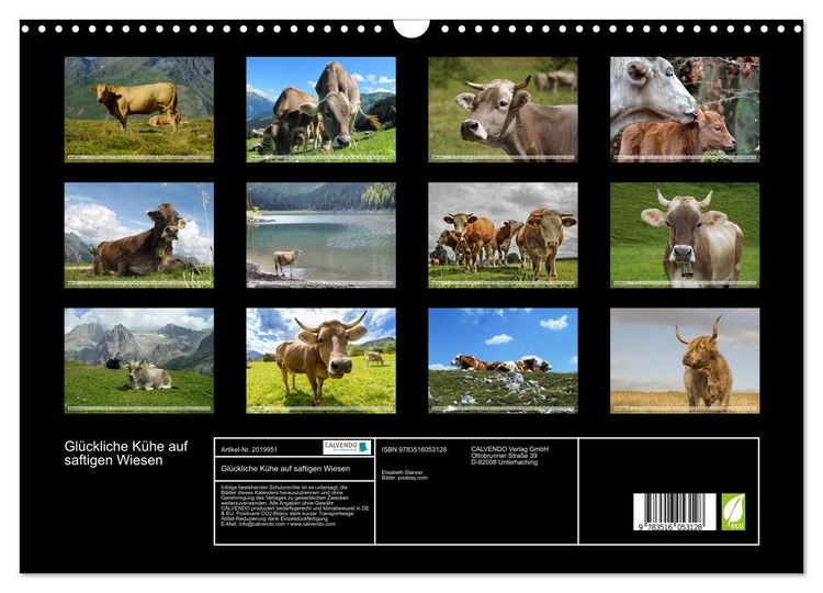 Produktbild: Gl&uuml;ckliche K&uuml;he auf saftigen Wiesen (Wandkalender 2026 DIN A3 quer), CALVENDO Monatskalender