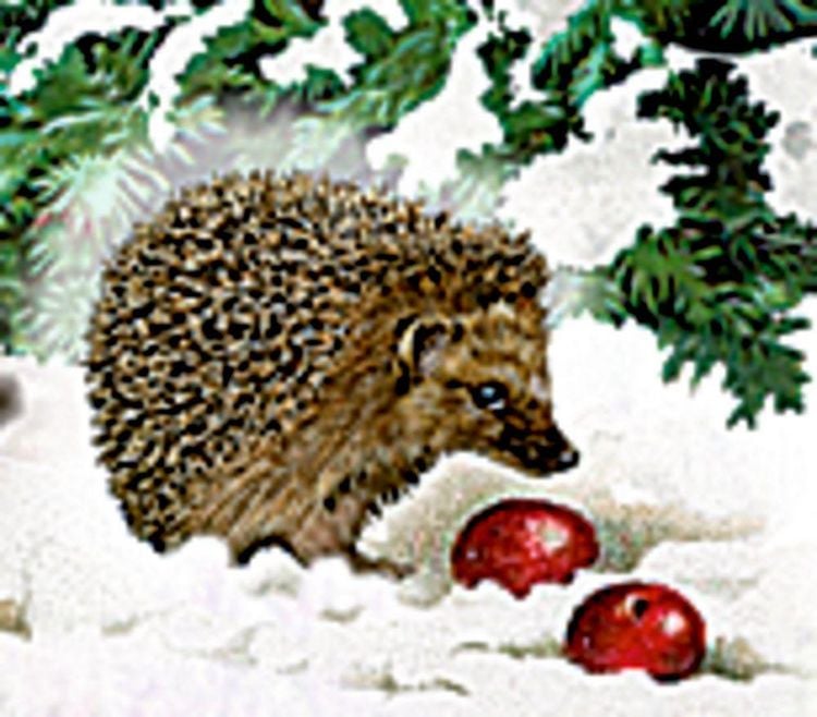 Produktbild: Wand-Adventskalender &ndash; Eisenbahn-Tanne