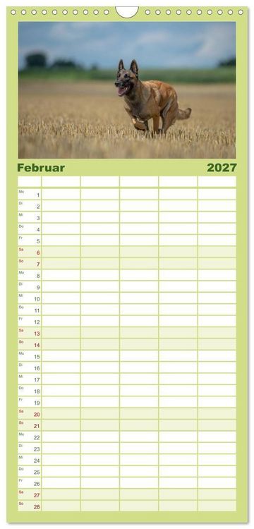 Produktbild: Familienplaner 2027 - Belgischer Sch&auml;ferhund - Der Malinois in Action mit 5 Spalten (Wandkalender, 21 x 45 cm) CALVENDO