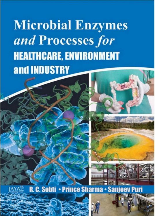 Produktbild: Microbial Enzymes And Processes For Healthcare, Environment And Industry