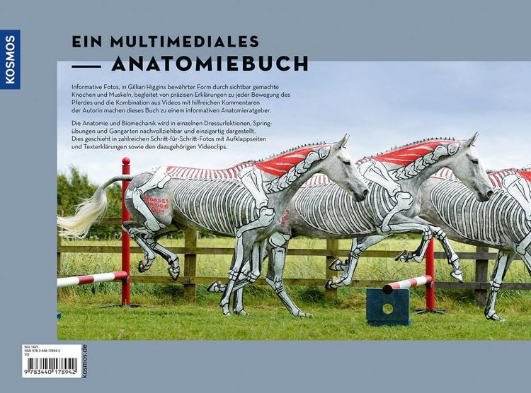 Produktbild: Anatomie in Bewegung
