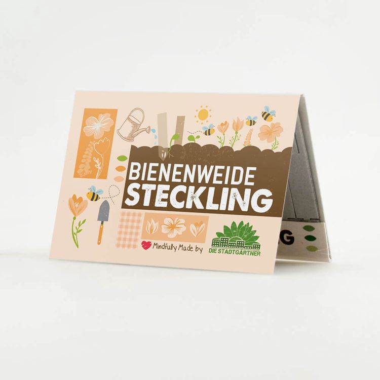 Steckling Bienenweide