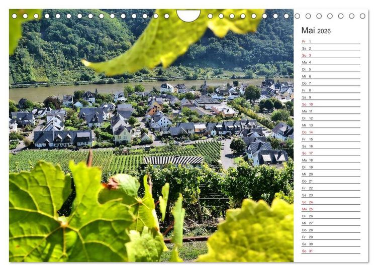 Produktbild: Bildsch&ouml;n - Die Mosel (Wandkalender 2026 DIN A4 quer), CALVENDO Monatskalender