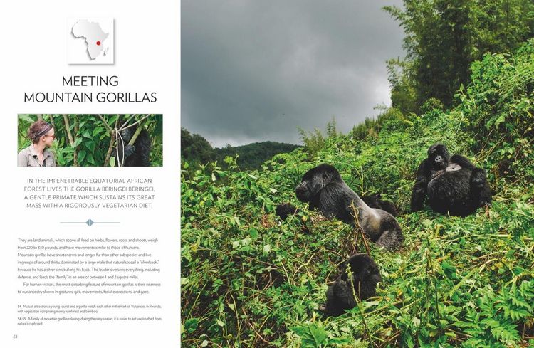 Produktbild: Encounters with Nature