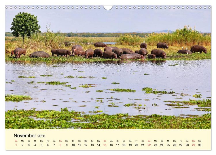 Produktbild: Traumhaftes Malawi (Wandkalender 2026 DIN A3 quer), CALVENDO Monatskalender