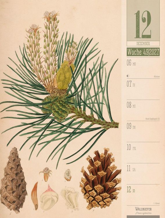 Produktbild: Culinarium Wochenplaner Kalender 2027 | K&uuml;che, Kr&auml;uter, Kurioses