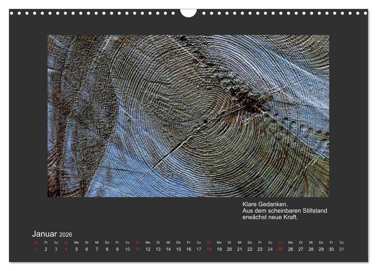 Produktbild: MAGIE HOLZ 2026 (Wandkalender 2026 DIN A3 quer), CALVENDO Monatskalender