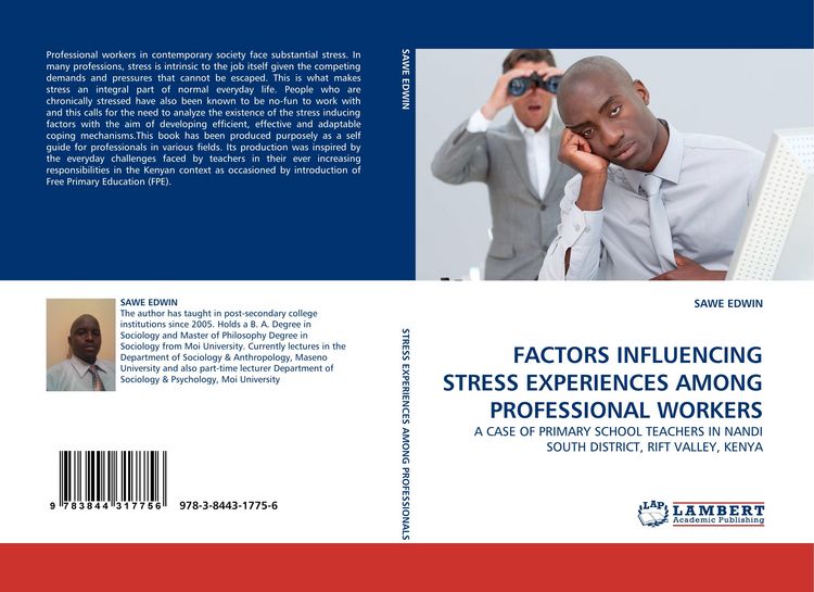 Produktbild: Factors Influencing Stress Experiences Among Professional Workers