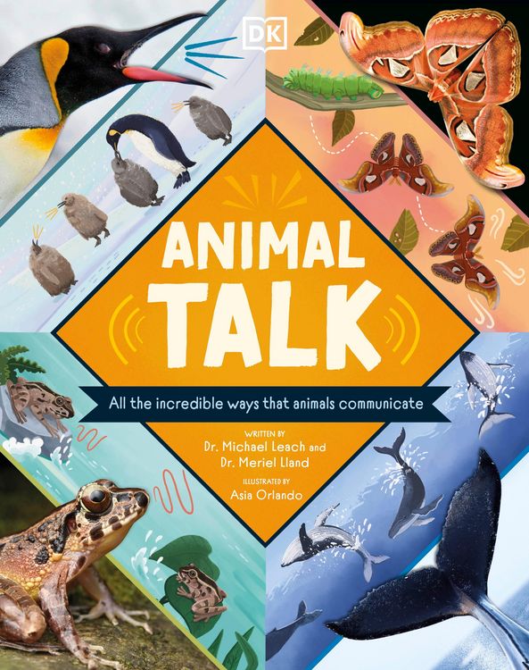 Produktbild: Animal Talk