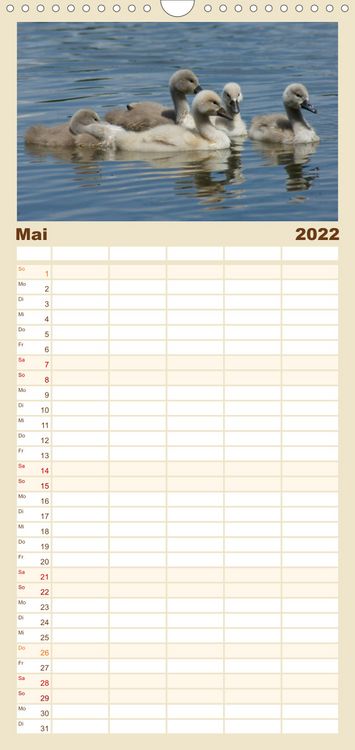 Produktbild: Das faszinierende Leben der Schw&auml;ne - Familienplaner hoch (Wandkalender 2022 , 21 cm x 45 cm, hoch)