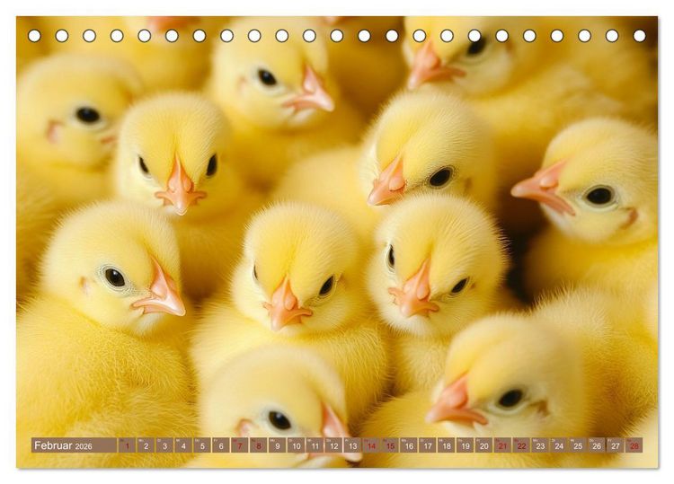 Produktbild: Kuschelblicke (Tischkalender 2026 DIN A5 quer), CALVENDO Monatskalender
