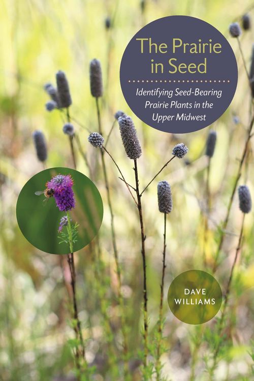 Produktbild: Prairie in Seed