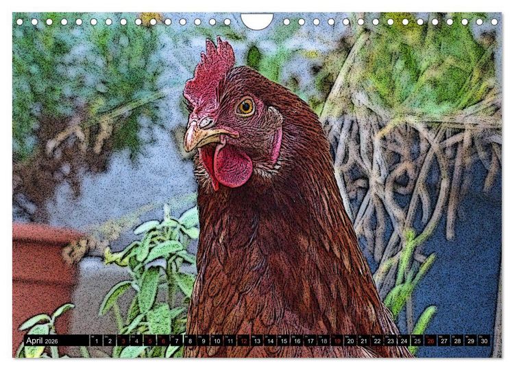 Produktbild: Die H&uuml;hner sind los! (Wandkalender 2026 DIN A4 quer), CALVENDO Monatskalender