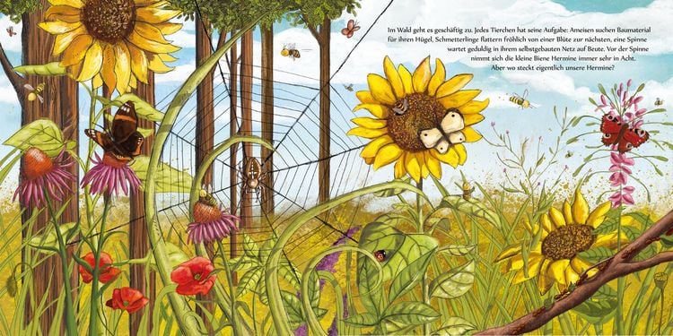Produktbild: Kleine Biene Hermine, wo bist du zu Haus?