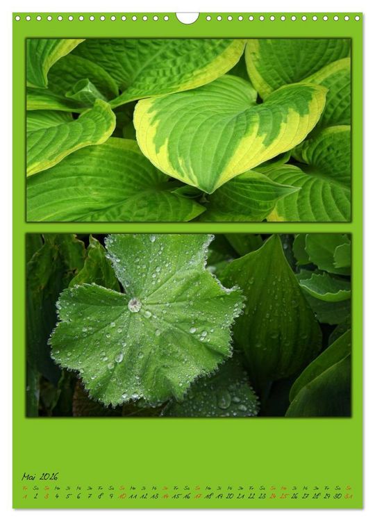 Produktbild: Farbtupferl der Natur (Wandkalender 2026 DIN A3 hoch), CALVENDO Monatskalender