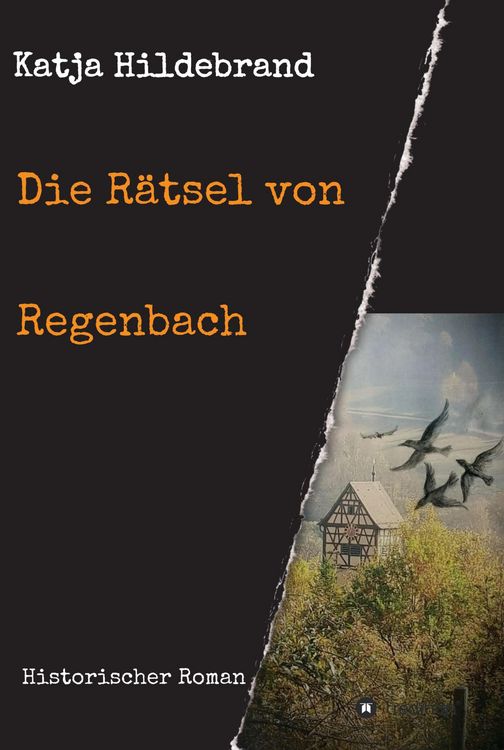 Produktbild: Die R&auml;tsel von Regenbach