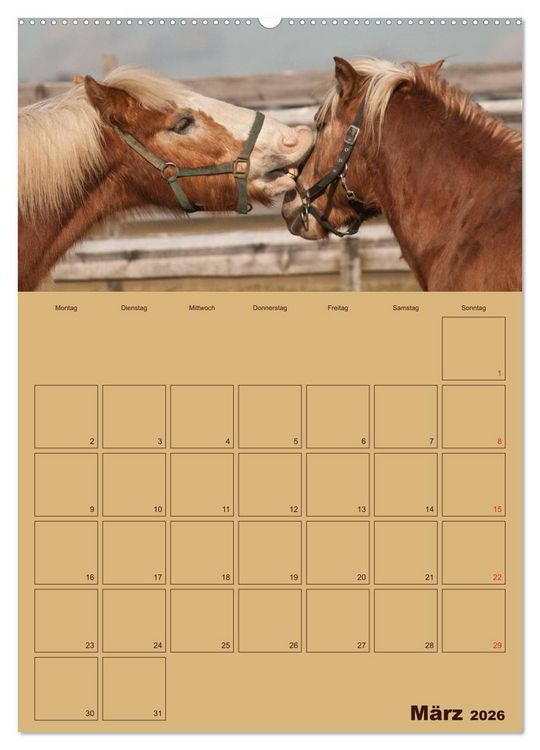 Produktbild: Pferde Gute Freunde (hochwertiger Premium Wandkalender 2026 DIN A2 hoch), Kunstdruck in Hochglanz