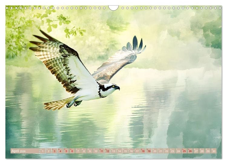 Produktbild: Zwischen Himmel und Wasser (Wandkalender 2026 DIN A3 quer), CALVENDO Monatskalender